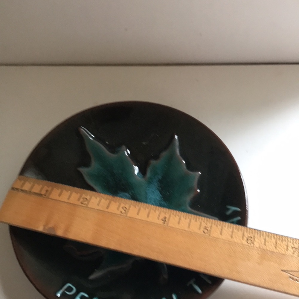 Blue Mountain Pottery Canada souvenir dish - Picture 2 of 7